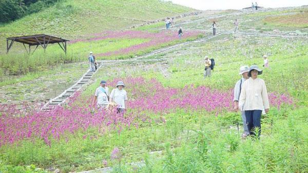Pals Inn Raicho Hakuba Luaran gambar